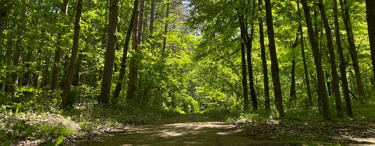 Ontario's first Urban Park opens in Uxbridge on Canada Day Durham Post